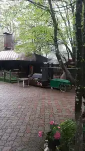 Надежда - 19