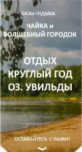 Чайка - 31