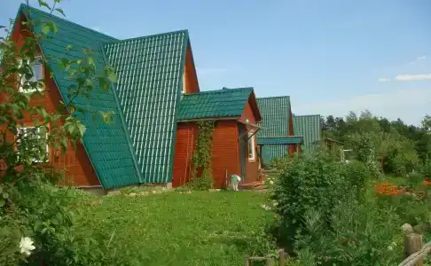 Кедр - 5