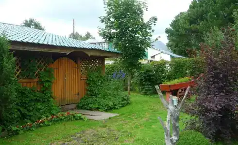 Кедр - 11