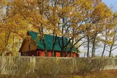 Кирицы - 2