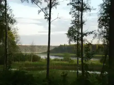 Вуокса-вирта - 31