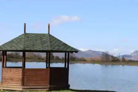 Скелепарк - 4