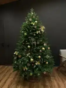 Барнхаус - 7