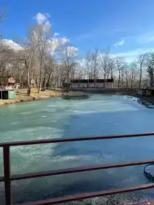 Комарово клуб - 90