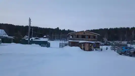 Аурелия - 29