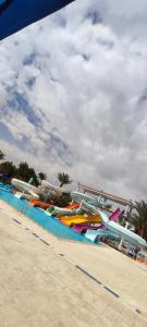 Desert Rose Resort - 64