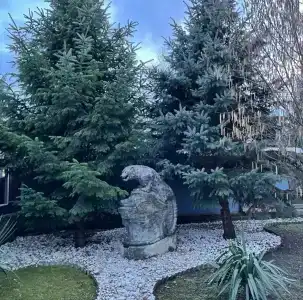 Снежный Барс - 0