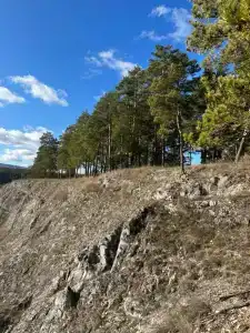 Арский - 43