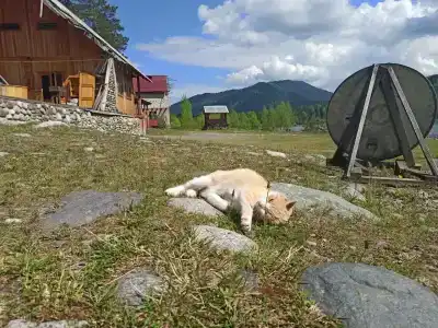 Юрток - 2