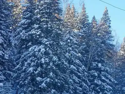 Анненские Воды - 61