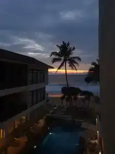 The Lucky Elephant - 46