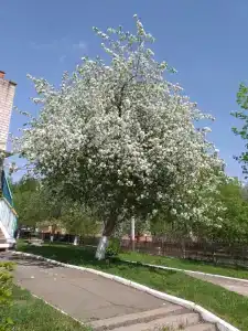 Санаторий Ласточка - 3