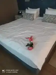 Звезда моря - 62