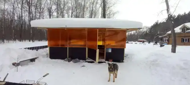 Воронье гнездо - 1