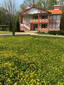 Родничок - 31