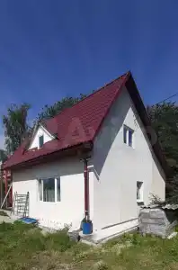 Совушка - 1