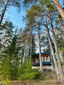 Чайка 1918 - 22