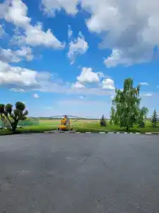 Голубой огонек - 39
