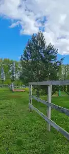 Мультиферма - 94