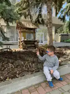 Дон - 29