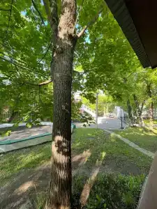 Политехник - 23