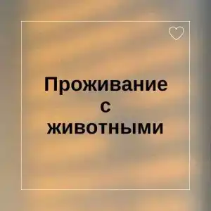 Багульник - 6