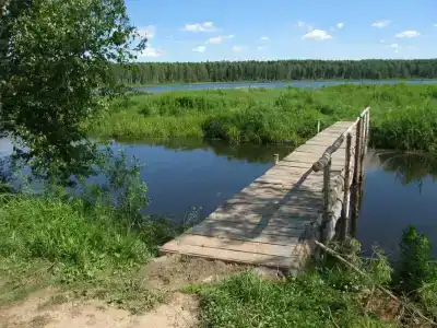 Бурдиха - 7