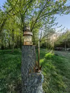 Жара - 12