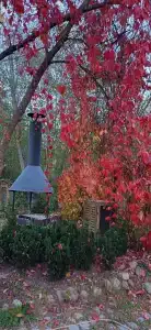 Ловец Снов - 47