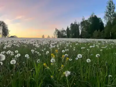 Елизарово - 53