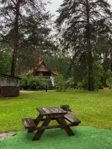 Дача в соснах - 17