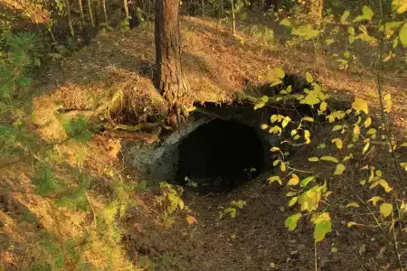 Пчелинцево - 61