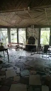 Дельфин - 15