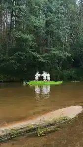 Юшут - 35