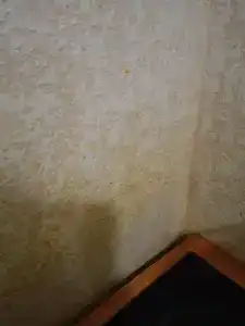 The Home - 32