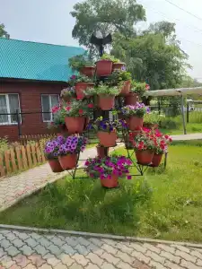 Анненские Воды - 41