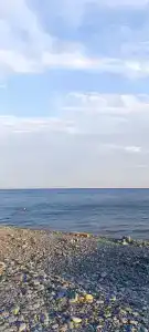 Светлана - 99