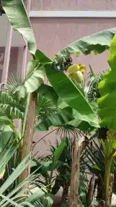 Аква Бриз - 17