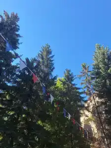 Волжанка - 34