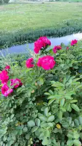 Усадьба на Спасской - 33