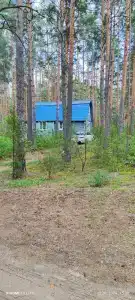 Кусторка - 40