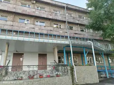 Медуница - 12