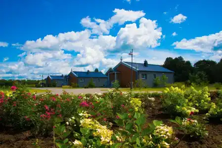 Новое Волосово - 77