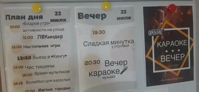 Чайка - 17