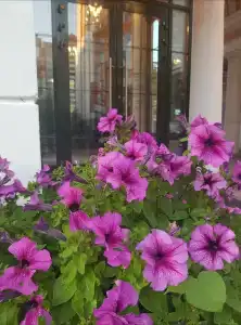 Хабаровск - 17