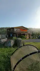 Аурелия - 15