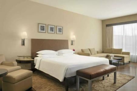 Hyatt Regency Mumbai International Airport - 59