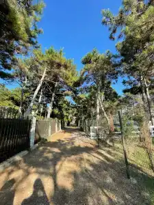 Песчаный берег - 40