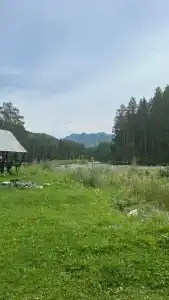 Чемальская поляна - 33